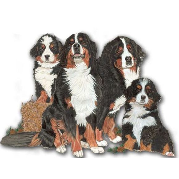 Bernese Mountain Dog Magnet Wooden-PSQ-MG523 - Picture 1 of 1